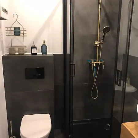 Stylowy W Centrum Apartamento Breslavia